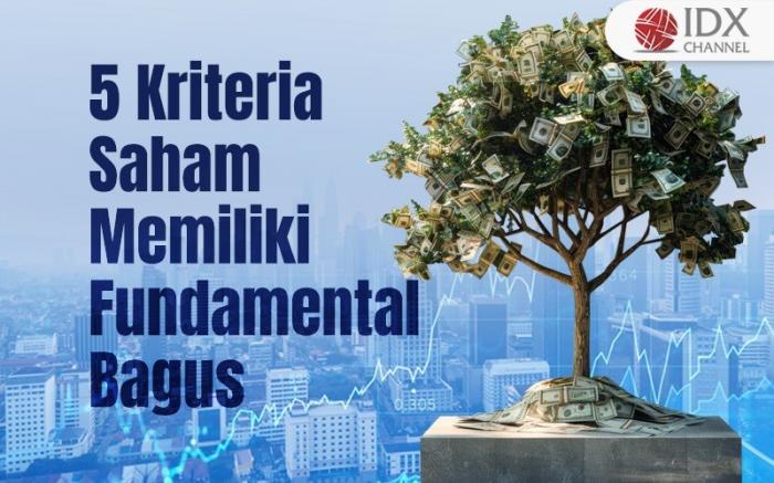 Lima Kriteria Saham dengan Fundamental Baik, Investor Wajib Tahu Kriteria Memilih Saham Yang Berpotensi Tinggi